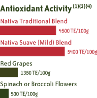 yerba mate antioxidant activity