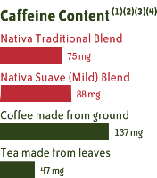 yerba mate caffeine activity