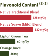 yerba mate flavanoid activity