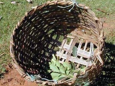 Bamboo baskets used in carrying the yerba mate leaves.